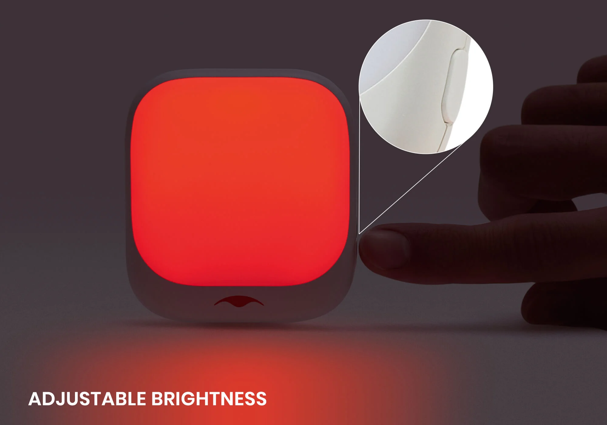PRO Sleep Recharge Bundle - Image 12